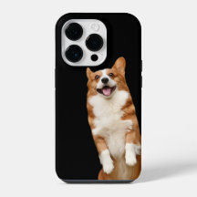 Royaume Animal - Superbe Corgi Mignon