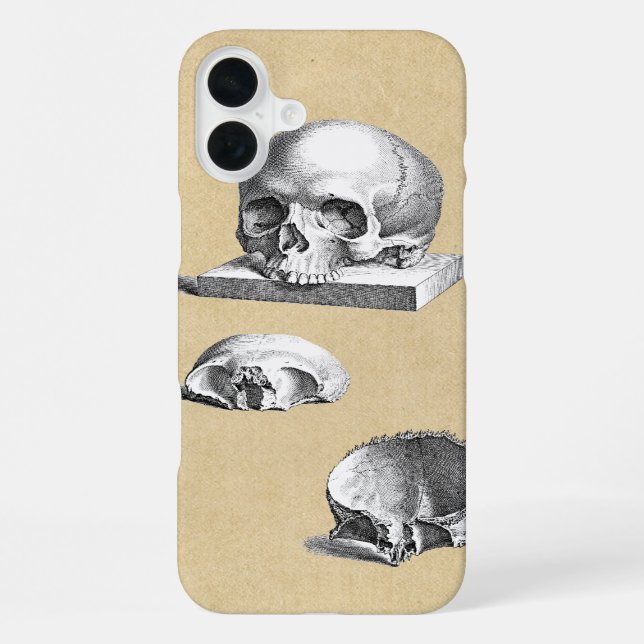Coque iPhone Section de l'anatomie du crâne humain (Verso)