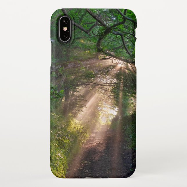 Coque iPhone sentier forestier (Dos)