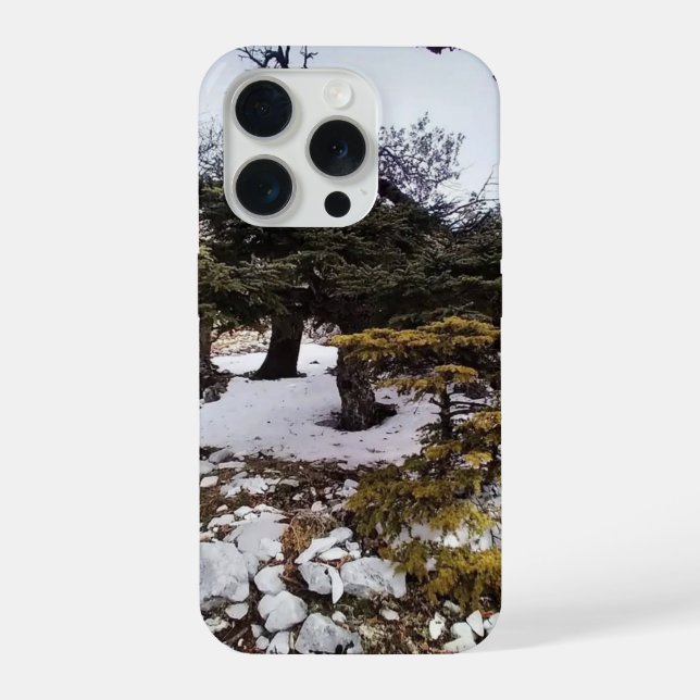 Coque iPhone Sérénité hivernale dans la forêt (Verso)