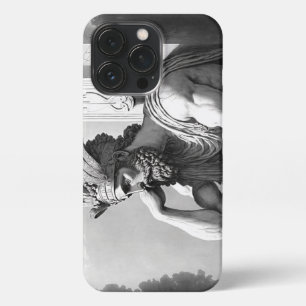 Etui iPhone 13 Pro Signal incorrect