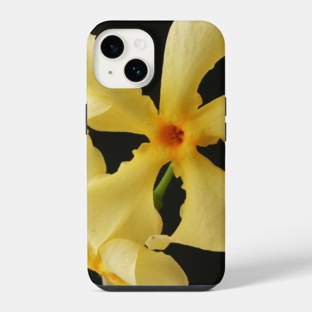 Coque iPhone Star Jasmine Flower iphcnm (Verso)