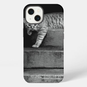 Etui iPhone 13 Stray Cat sur Stairs