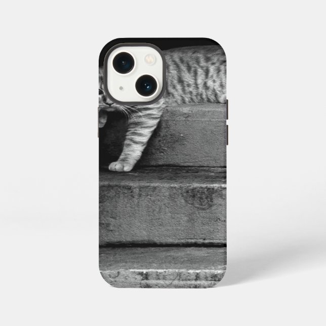 Coque iPhone Stray Cat sur Stairs (Verso)