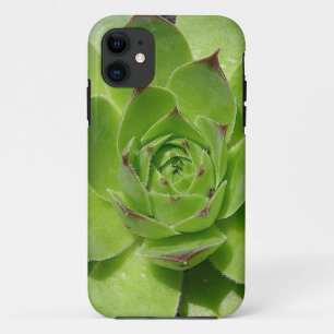 coque iphone succulent
