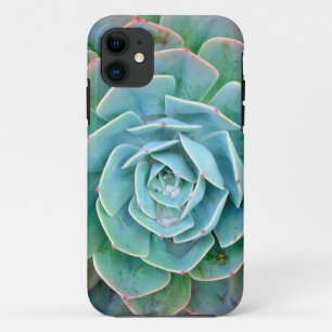 Coque iphone succulent