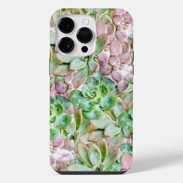 Coque iPhone Succulente Colorée      (Verso)