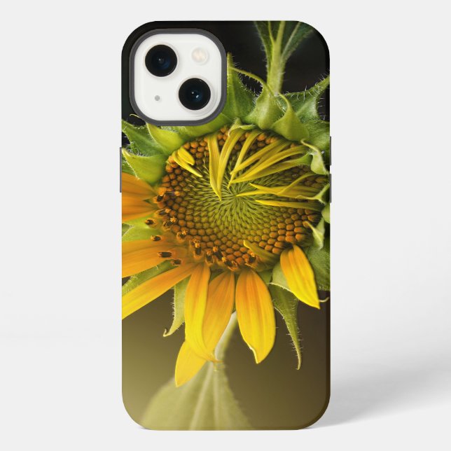 Coque iPhone Sunflower Opening in Full Bloom (Verso)