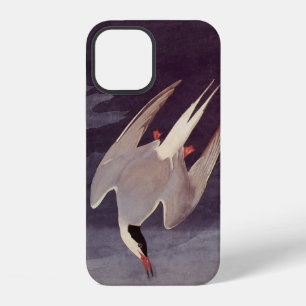 Coque iPhone 12 Terne arctique par John James Audubon, Oiseaux Vin