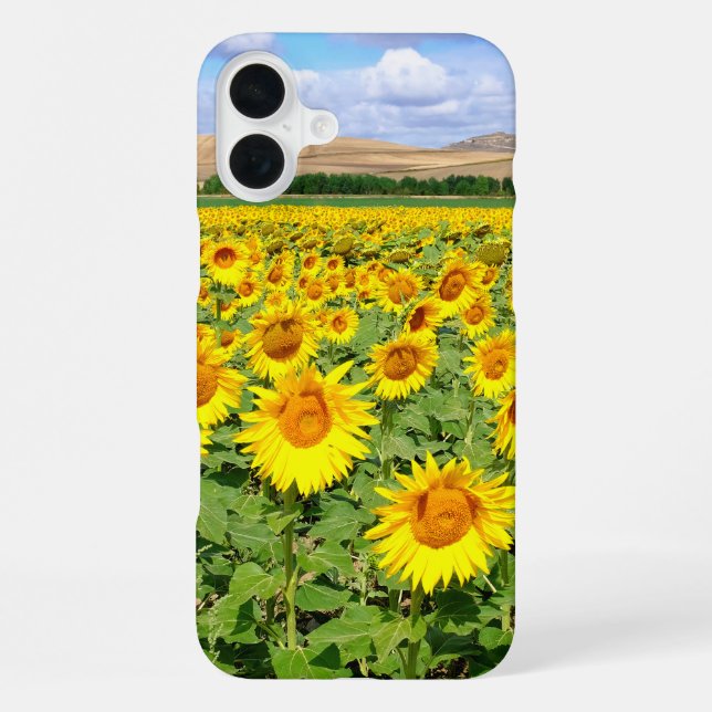 Coque iPhone Terrain de tournesol (Verso)