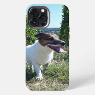 Etui iPhone 13 Pro Max Tête de Capo von Oppenheim Terrier Jack Russell, C