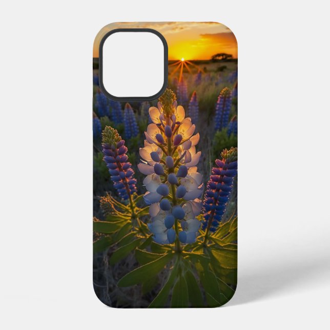 Coque iPhone Texas Bluebonnet  (Verso)