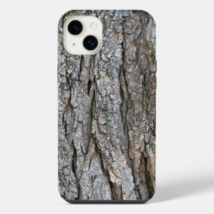 Texture de l'écorce d'arbre
