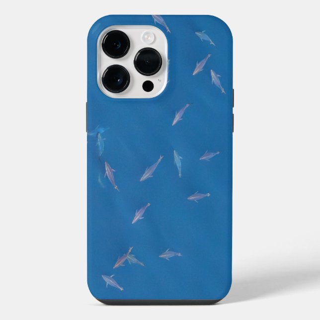 Coque iPhone Thon rouge faisant la roue (Verso)
