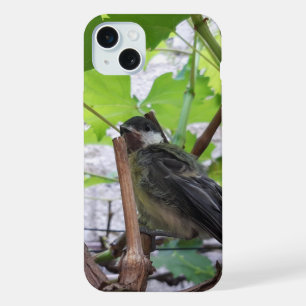 Coque iPhone 15 Plus Tidi mon oiseau le Parus Major