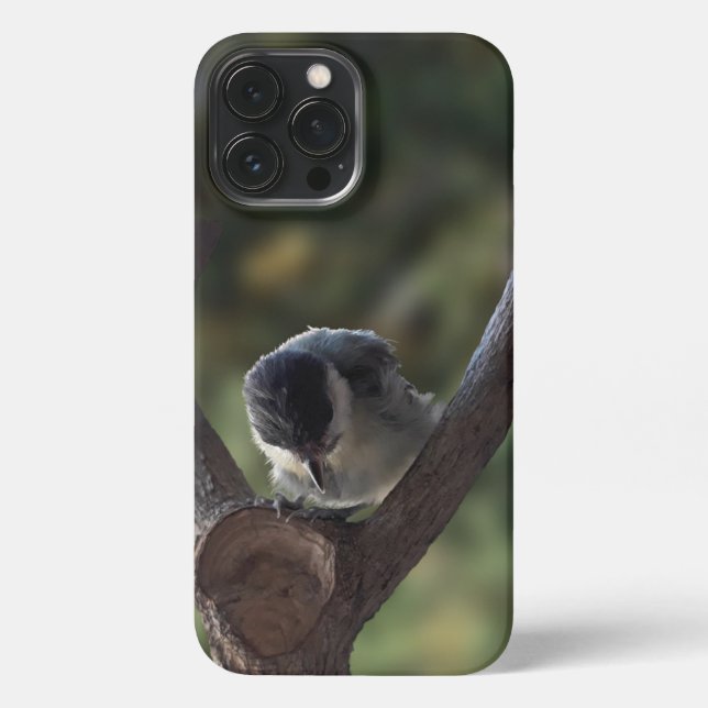 Coque iPhone Tidi my Bird le Parus Major (Verso)