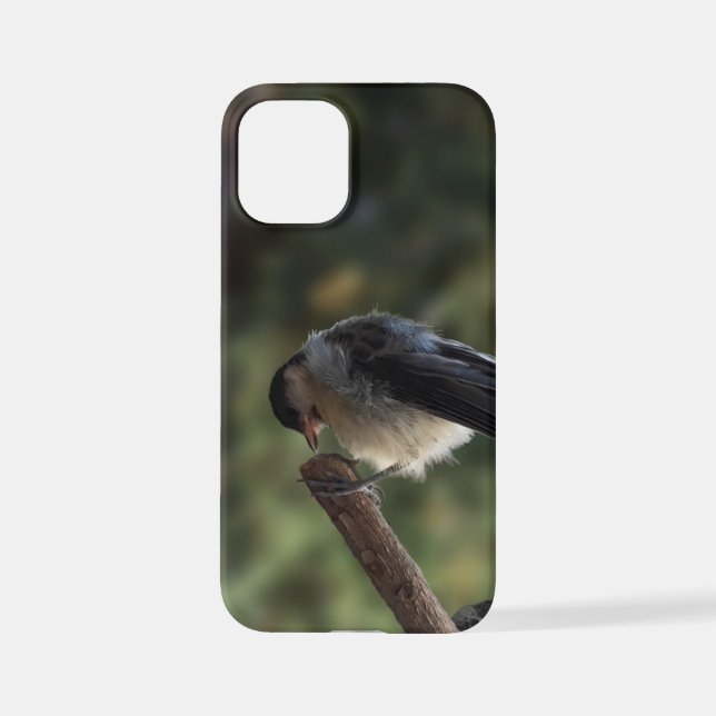 Coque iPhone Tidi my Bird le Parus Major (Verso)