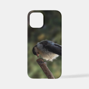 Coque iPhone 12 Mini Tidi my Bird le Parus Major