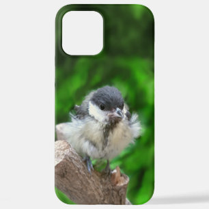 Coque iPhone 12 Pro Max Tidi my Bird le Parus Major