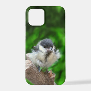 Coque iPhone 12 Pro Tidi my Bird le Parus Major
