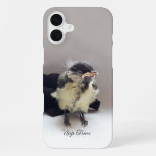 Coque iPhone 16 Plus Tidi my Bird le Parus Major