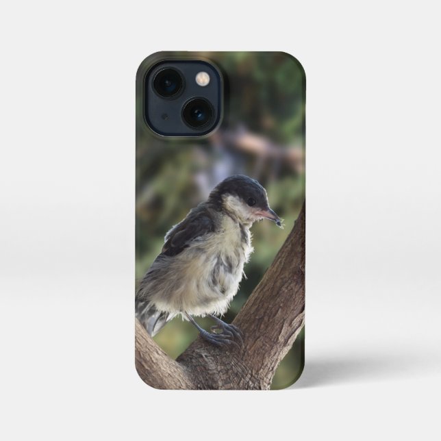 Coque iPhone Tidi my Bird le Parus Major (Verso)