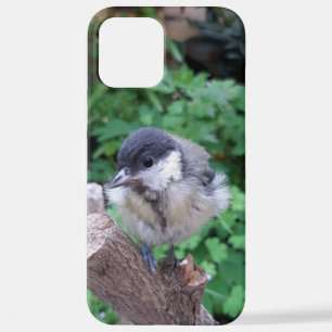 Coque iPhone 12 Pro Max Tidi my Bird le Parus Major