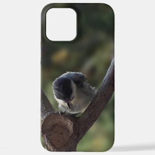 Coque iPhone 12 Pro Max Tidi my Bird le Parus Major