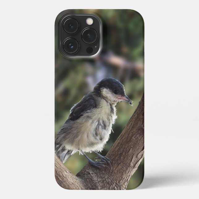 Coque iPhone Tidi my Bird le Parus Major (Verso)