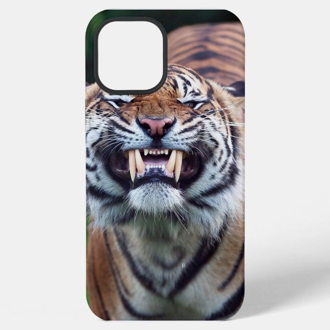 Coque iPhone "Tigre Tooth" (Verso)