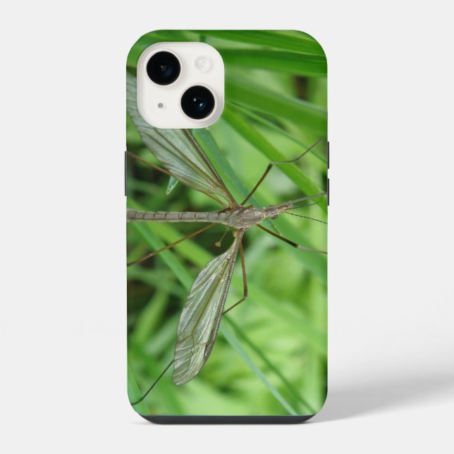 Coque iPhone Tipule (Verso)