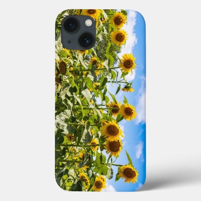 Coque iphone tournesol (Verso)