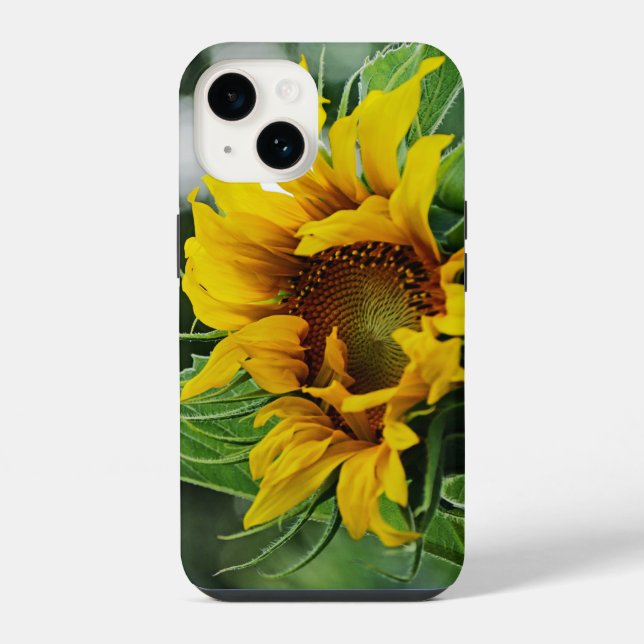 Coque iPhone Tournesol (Verso)