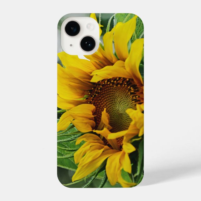 Coque iPhone Tournesol (Verso)