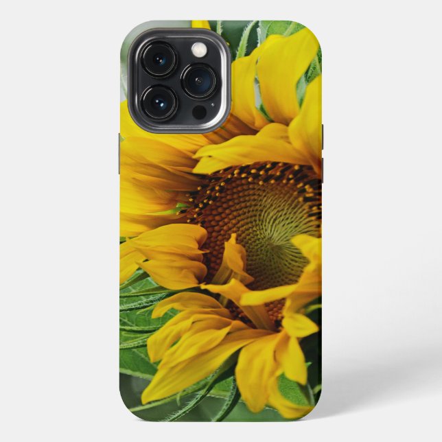 Coque iPhone Tournesol (Verso)