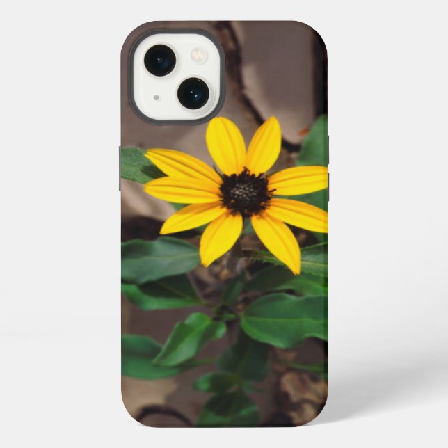 Coque iPhone Tournesol de boue craquée (Verso)