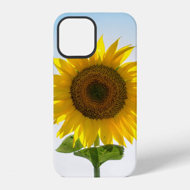 Coque iPhone Tournesol jaune (Verso)