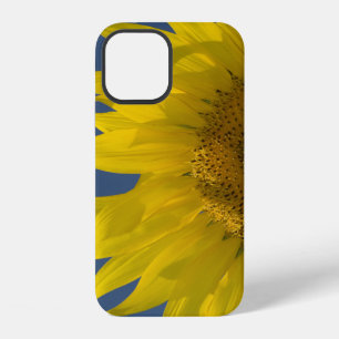 Coque iPhone 12 Tournesol Levant