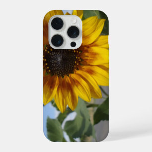 Coque iPhone 15 Pro Tournesol Moment Doré,