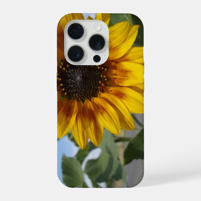 Coque iPhone Tournesol Moment Doré, (Verso)