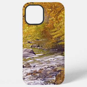 Coque iPhone 12 Pro Max Trembles d'automne colorés à Morrison Colorado