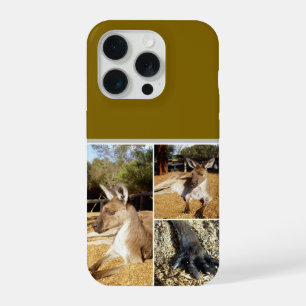 Coque iPhone 15 Pro Trois images de kangourou en collage, Coussin