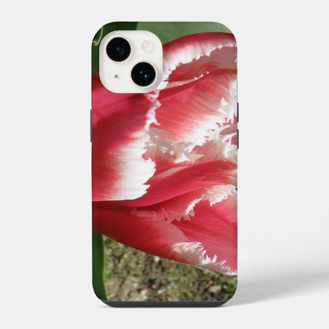 Coque iPhone Tulipe à franges roses (Verso)