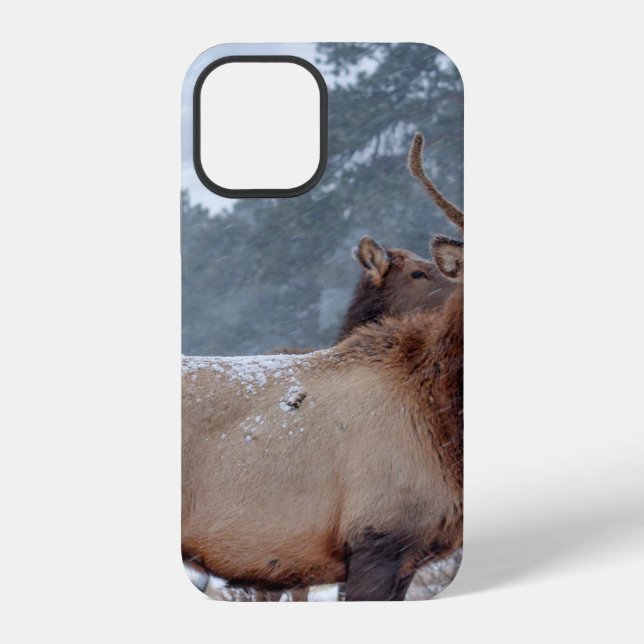 COQUE iPhone UN GROUPE DE CERFS (Verso)