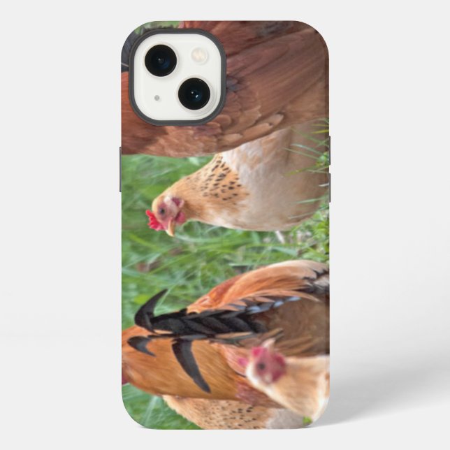 Coque iPhone USA, Nebraska. Chickens (Verso)