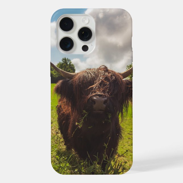 Coque iPhone Vache noire pâturage vert champ soleil (Verso)