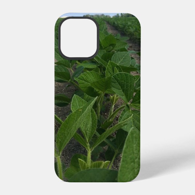 Coque iPhone Vaches de soja Agriculture (Verso)