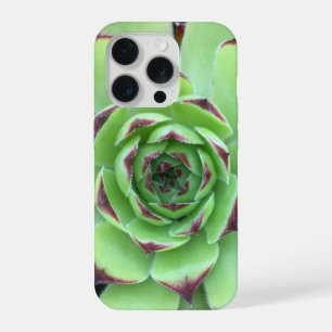 Coque iPhone 15 Pro Vert avec pourpre Conseils Succulent Gros plan Pho
