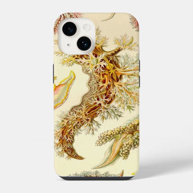 Coque iPhone Vintage Haeckel (Verso)
