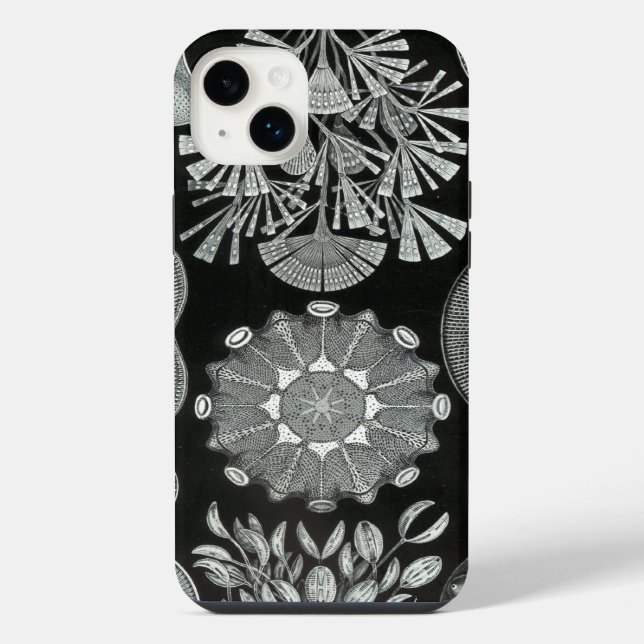 Coque iPhone Vintage Haeckel (Verso)